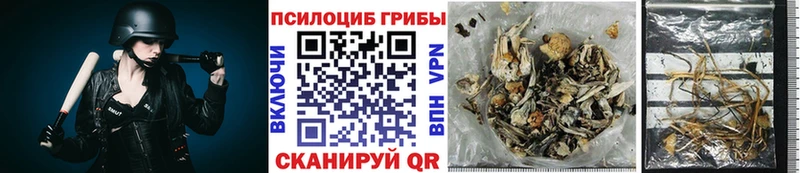 Галлюциногенные грибы Psilocybe  ОМГ ОМГ как зайти  Иваново 