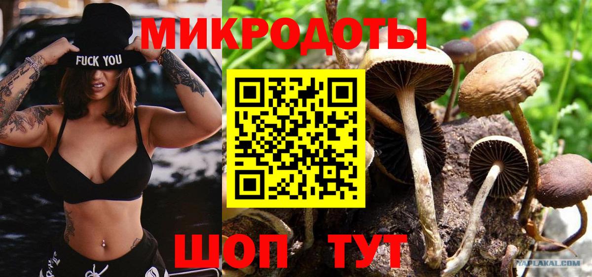 Псилоцибиновые грибы прущие грибы Иваново